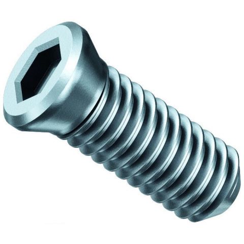 Fein 31350076000 Klämskruv 10-pack, för AKFH 18-5 Select