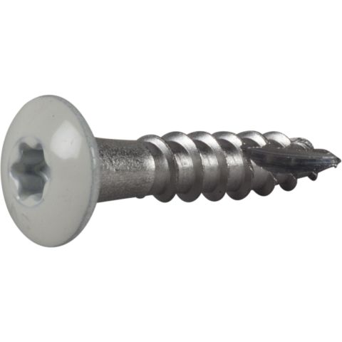 ESSVE 590205 Rännkroksskruv 4,8 mm Ø, vit, TX20 25 mm, 250-pack